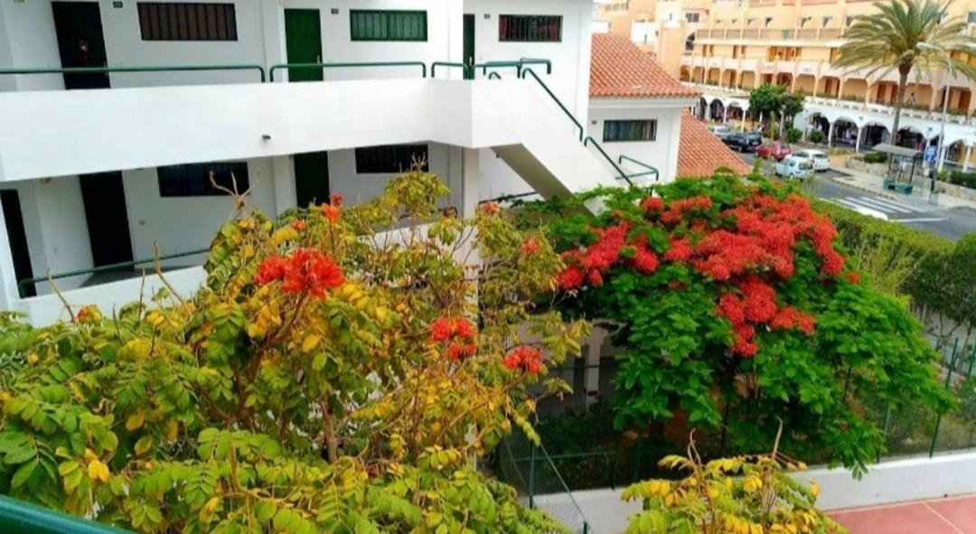 Ferienwohnung Luxury Sonnenland Maspalomas  Exterior foto